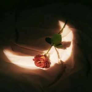 丰滿肉肉BBwwBBww
